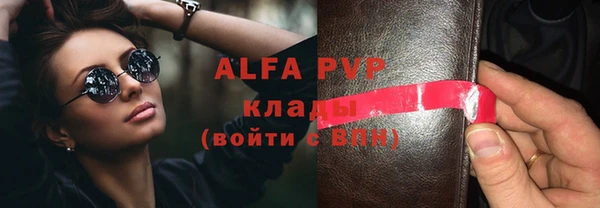 индика Инсар
