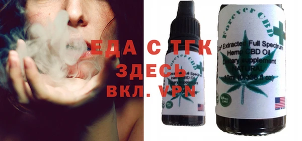 индика Инсар