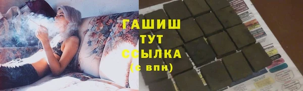индика Инсар