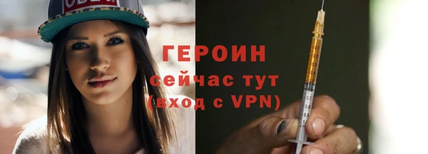 индика Инсар