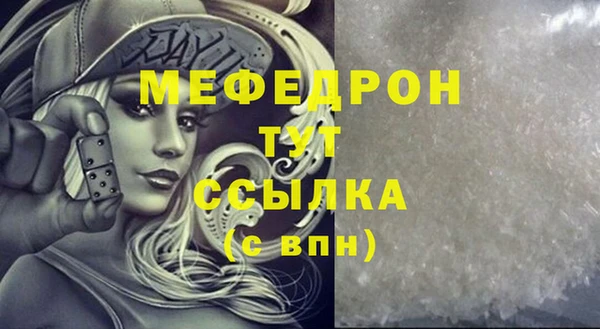 индика Инсар