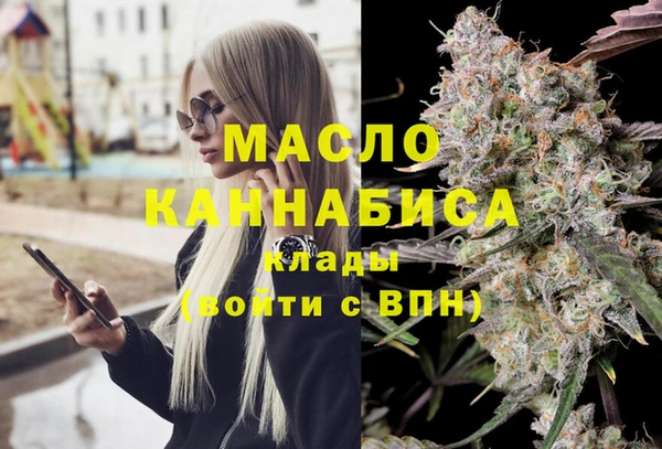 индика Инсар
