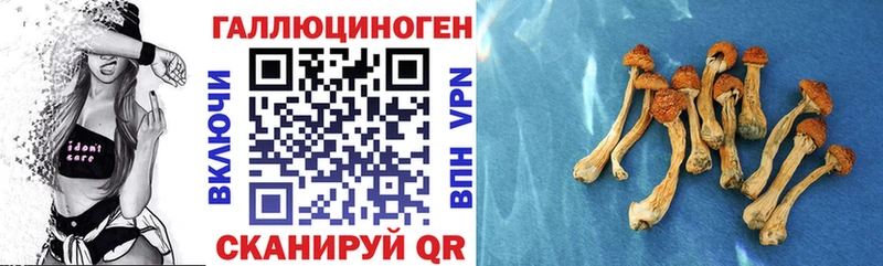 Галлюциногенные грибы ЛСД  дарнет шоп  Камбарка 
