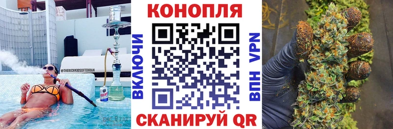 Канабис сатива Камбарка